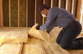 Best Attic Insulation Installation  in Mount Olive, NC